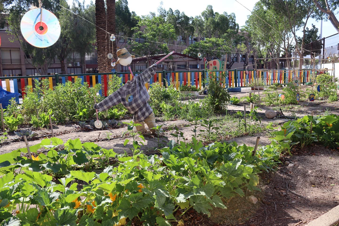 Así combaten los colegios la contaminación que respiran los niños ilicitanos